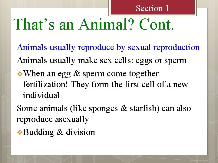 Section 1 That’s an Animal? Cont. Animals usually reproduce by sexual reproduction Animals usually