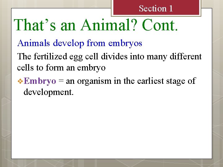 Section 1 That’s an Animal? Cont. Animals develop from embryos The fertilized egg cell