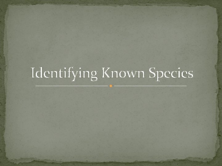 Identifying Known Species 