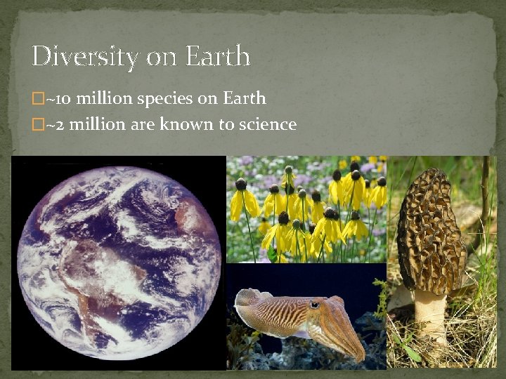 Diversity on Earth �~10 million species on Earth �~2 million are known to science