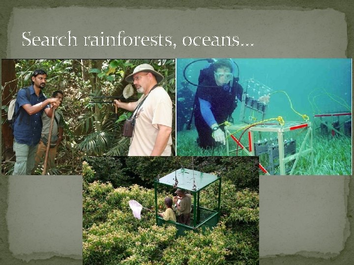 Search rainforests, oceans… 