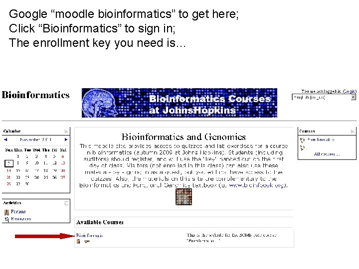Google “moodle bioinformatics” to get here; Click “Bioinformatics” to sign in; The enrollment key