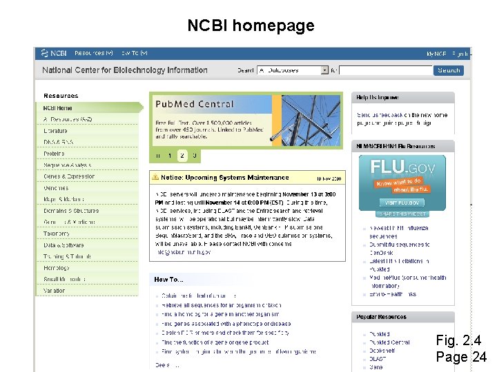 NCBI homepage Fig. 2. 4 Page 24 