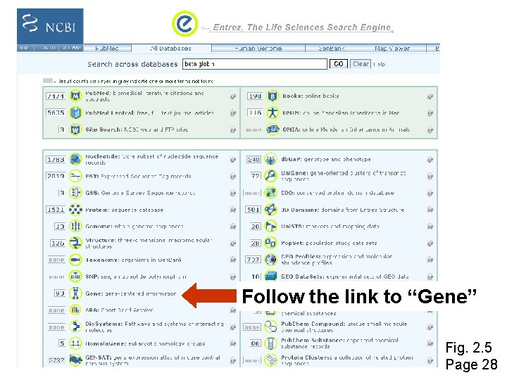 Follow the link to “Gene” Fig. 2. 5 Page 28 