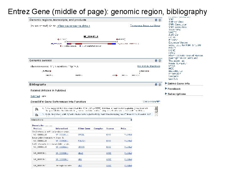 Entrez Gene (middle of page): genomic region, bibliography 