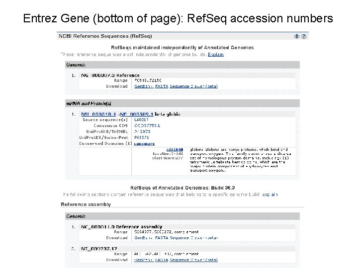 Entrez Gene (bottom of page): Ref. Seq accession numbers 