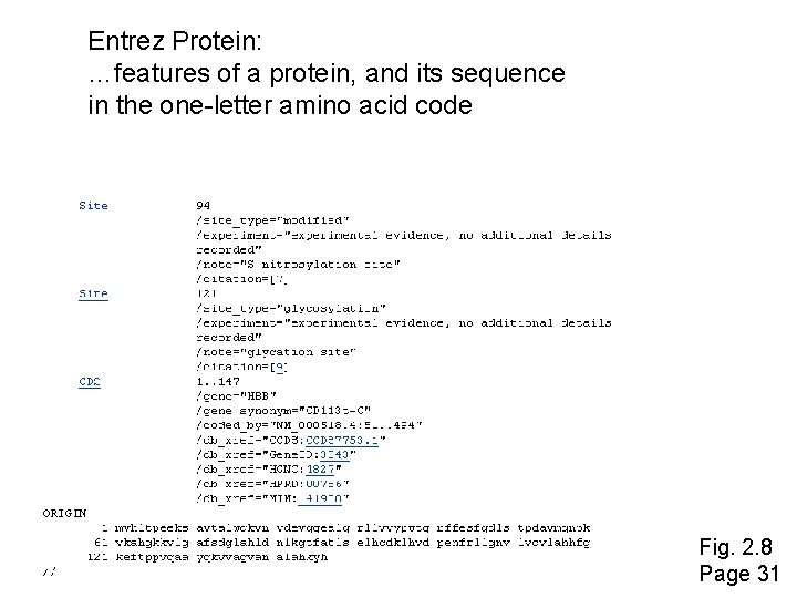 Entrez Protein: …features of a protein, and its sequence in the one-letter amino acid
