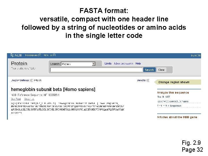 FASTA format: versatile, compact with one header line followed by a string of nucleotides