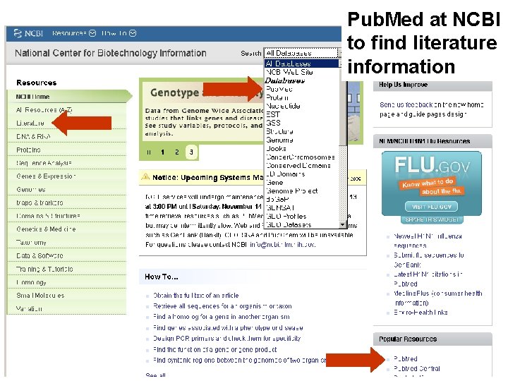 Pub. Med at NCBI to find literature information 