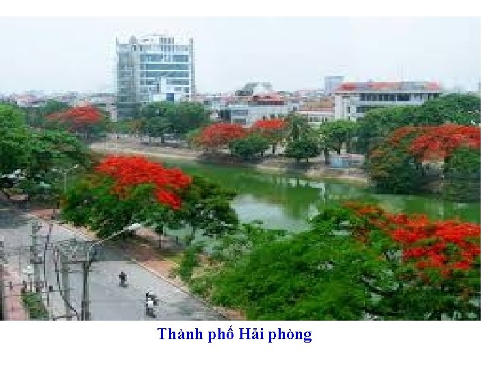 Thành phố Hải phòng 