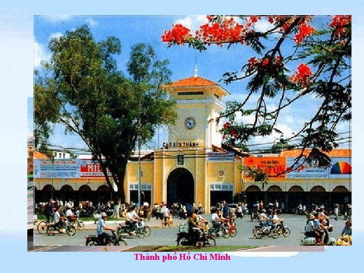 Thành phố Hồ Chí Minh 
