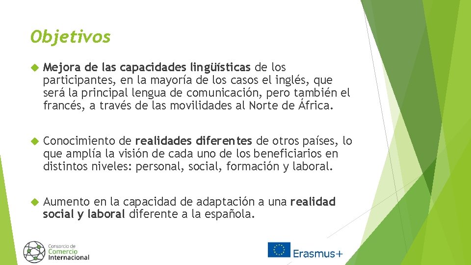 Objetivos Mejora de las capacidades lingüísticas de los participantes, en la mayoría de los