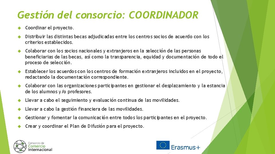 Gestión del consorcio: COORDINADOR Coordinar el proyecto. Distribuir las distintas becas adjudicadas entre los