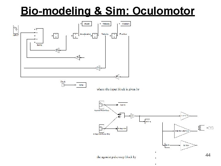 Bio-modeling & Sim: Oculomotor . . . 44 Bio-modeling & Sim: Oculomotor . . . 44