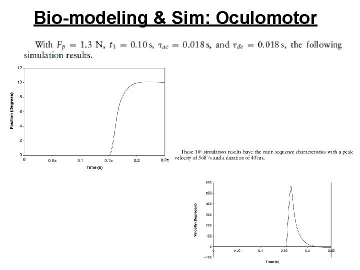 Bio-modeling & Sim: Oculomotor 45 Bio-modeling & Sim: Oculomotor 45