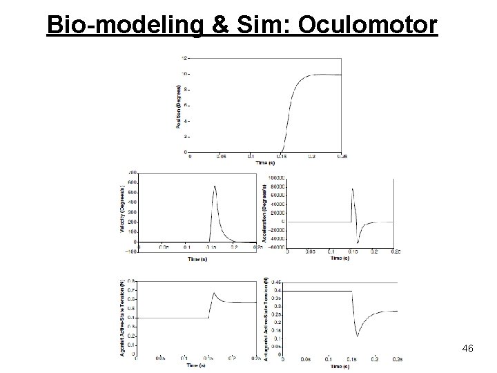 Bio-modeling & Sim: Oculomotor 46 Bio-modeling & Sim: Oculomotor 46