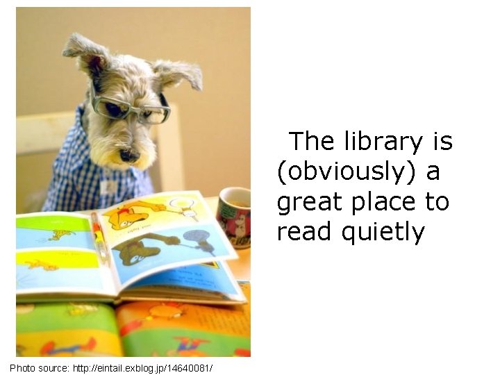 The library is (obviously) a great place to read quietly Photo source: http: //eintail.