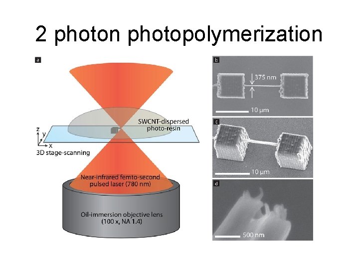 2 photon photopolymerization 