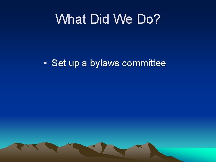 What Did We Do? • Set up a bylaws committee 