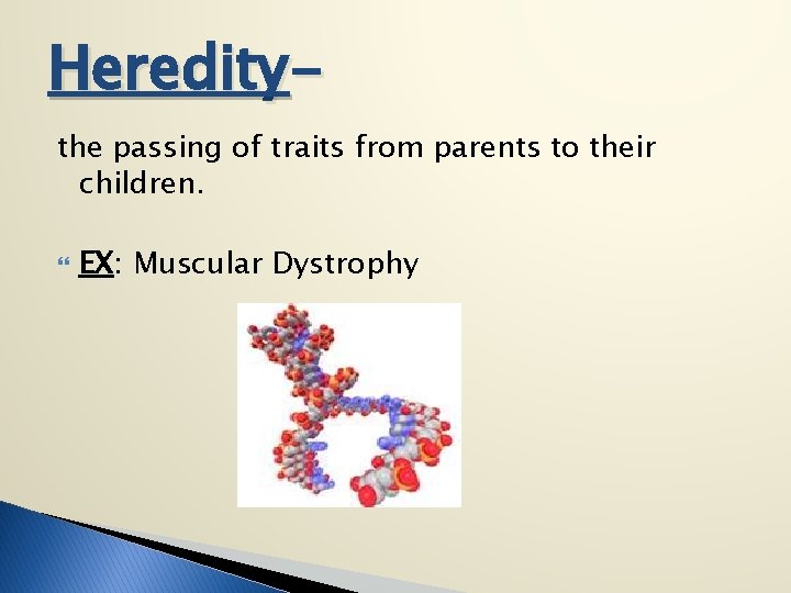 Hereditythe passing of traits from parents to their children. EX: Muscular Dystrophy 