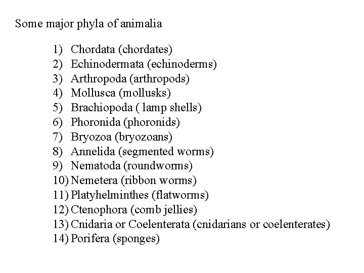 Some major phyla of animalia 1) Chordata (chordates) 2) Echinodermata (echinoderms) 3) Arthropoda (arthropods)