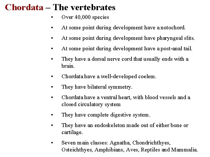 Chordata – The vertebrates • Over 40, 000 species • At some point during