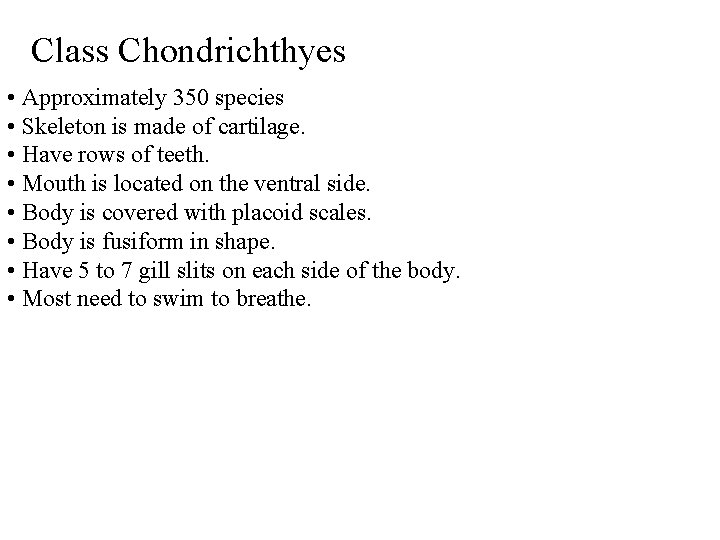 Class Chondrichthyes • Approximately 350 species • Skeleton is made of cartilage. • Have