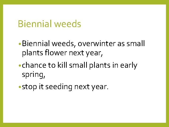 Biennial weeds • Biennial weeds, overwinter as small plants flower next year, • chance