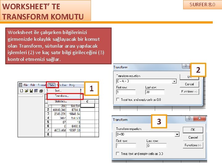 WORKSHEET’ TE TRANSFORM KOMUTU SURFER 8. 0 Worksheet ile çalışırken bilgilerinizi girmenizde kolaylık sağlayacak