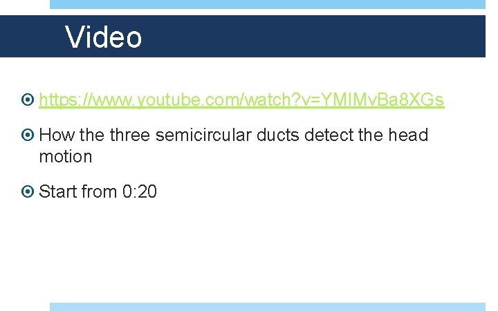 Video https: //www. youtube. com/watch? v=YMIMv. Ba 8 XGs How the three semicircular ducts