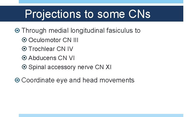 Projections to some CNs Through medial longitudinal fasiculus to Oculomotor CN III Trochlear CN