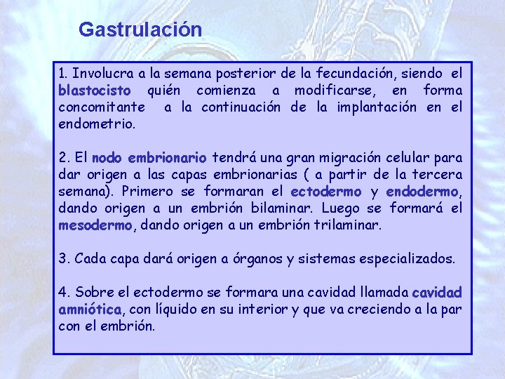 Gastrulación 1. Involucra a la semana posterior de la fecundación, siendo el blastocisto quién