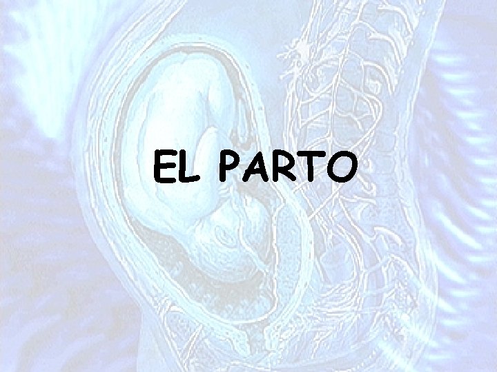 EL PARTO 