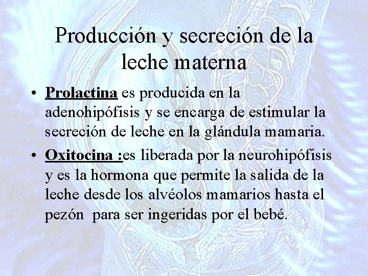 Producción y secreción de la leche materna • Prolactina es producida en la adenohipófisis