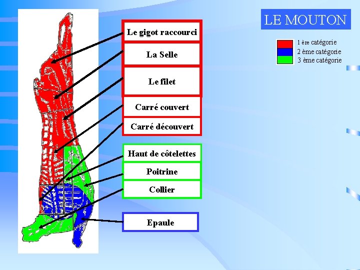 Le gigot raccourci LE MOUTON 1 ère catégorie La Selle Le filet Carré couvert