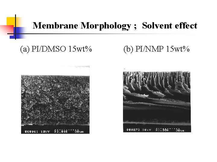 Membrane Morphology ; Solvent effect (a) PI/DMSO 15 wt% (b) PI/NMP 15 wt% 