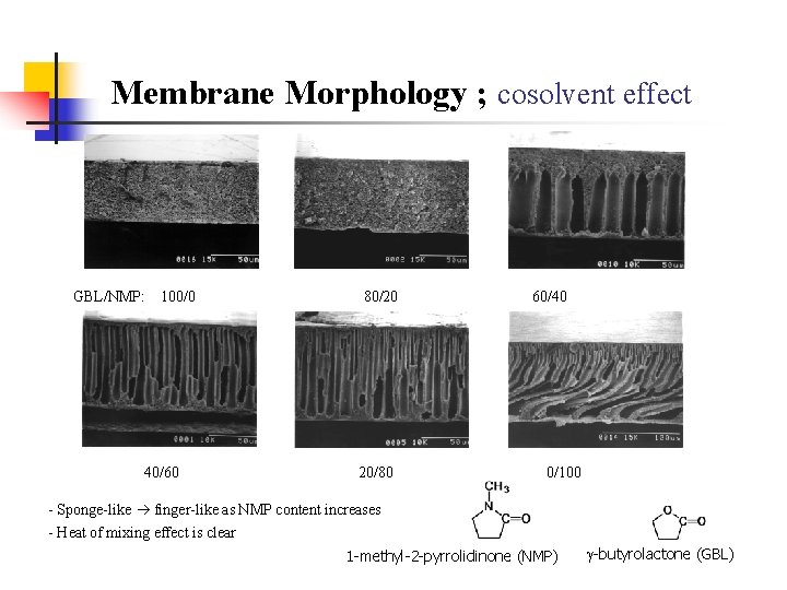 Membrane Morphology ; cosolvent effect GBL/NMP: 100/0 40/60 80/20 20/80 60/40 0/100 - Sponge-like