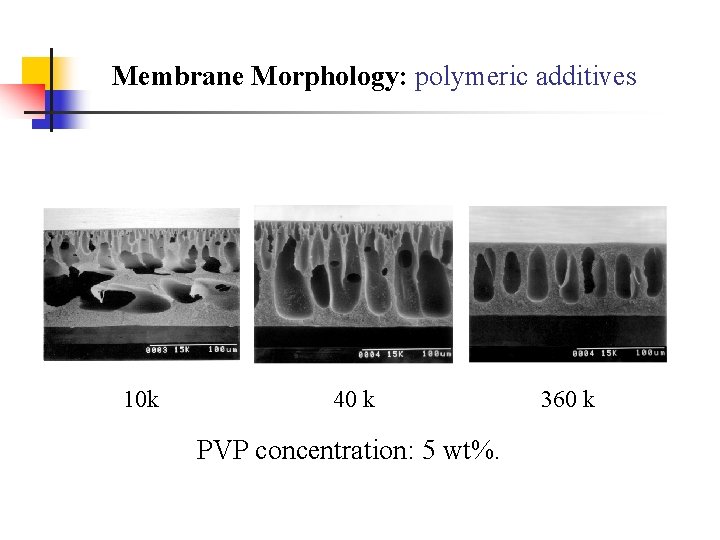 Membrane Morphology: polymeric additives 10 k 40 k PVP concentration: 5 wt%. 360 k