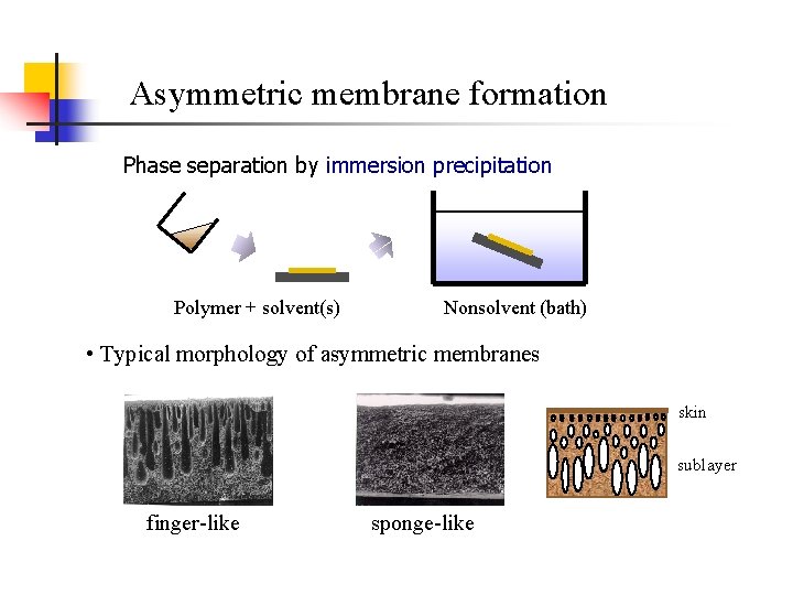 Asymmetric membrane formation Phase separation by immersion precipitation Polymer + solvent(s) Nonsolvent (bath) •