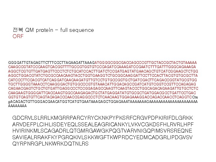 전복 QM protein - full sequence ORF GGGGATTGTAGAGTTCTTTCCCTTAGAAGATTAAAGATGGGGCGGCGACCAGCCCGTTGCTACCGCTACTGTAAAAA CAAGCCGTATCCCAAGTCACGGTTTTGCCGTGGTGTCCCAGATCCAAAGATCCGAATCTTTGATTTGGGCAGAAAGA AGGCTCGTGTTGATGAGTTCCCTCTCTGCATCCACTTGATCTCCGATGAGTATGAACAGCTGTCATCGGAAGCTCTGG AGGCTGGACGTATCTGCGCCAACAAGTACCTGGTGAAGGTCTGCGGCAAGGATTCCACTTACGTGTGCGCTTA CATCCCTTCCACGTCATCAGGATCAACAAGATGTTGTCCTGTGCCGGTGCTGATCGACTTCAGACCGGTATGCGTGG TGCTTGGGGTAAACCTCAAGGGACTGTGGCCCGTGTAAACATTGGACAGCCGATCATGTCGGTCCGTTCCAGAGAG CAGAACGAGTCTGCTGTGATTGAGGCCCTCCGGAGAGCCAAGTTCAAGTACCCTGGCAGAAGATTGTGCTCTC