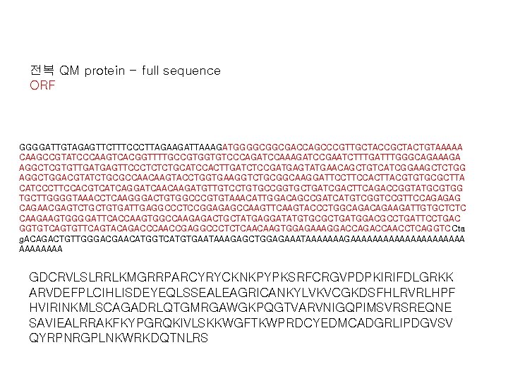전복 QM protein - full sequence ORF GGGGATTGTAGAGTTCTTTCCCTTAGAAGATTAAAGATGGGGCGGCGACCAGCCCGTTGCTACCGCTACTGTAAAAA CAAGCCGTATCCCAAGTCACGGTTTTGCCGTGGTGTCCCAGATCCAAAGATCCGAATCTTTGATTTGGGCAGAAAGA AGGCTCGTGTTGATGAGTTCCCTCTCTGCATCCACTTGATCTCCGATGAGTATGAACAGCTGTCATCGGAAGCTCTGG AGGCTGGACGTATCTGCGCCAACAAGTACCTGGTGAAGGTCTGCGGCAAGGATTCCACTTACGTGTGCGCTTA CATCCCTTCCACGTCATCAGGATCAACAAGATGTTGTCCTGTGCCGGTGCTGATCGACTTCAGACCGGTATGCGTGG TGCTTGGGGTAAACCTCAAGGGACTGTGGCCCGTGTAAACATTGGACAGCCGATCATGTCGGTCCGTTCCAGAGAG CAGAACGAGTCTGCTGTGATTGAGGCCCTCCGGAGAGCCAAGTTCAAGTACCCTGGCAGAAGATTGTGCTCTC