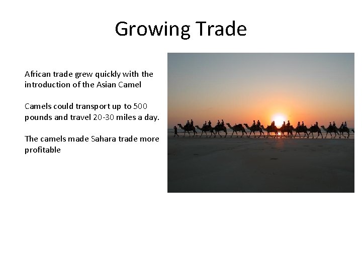 Growing Trade African trade grew quickly with the introduction of the Asian Camels could
