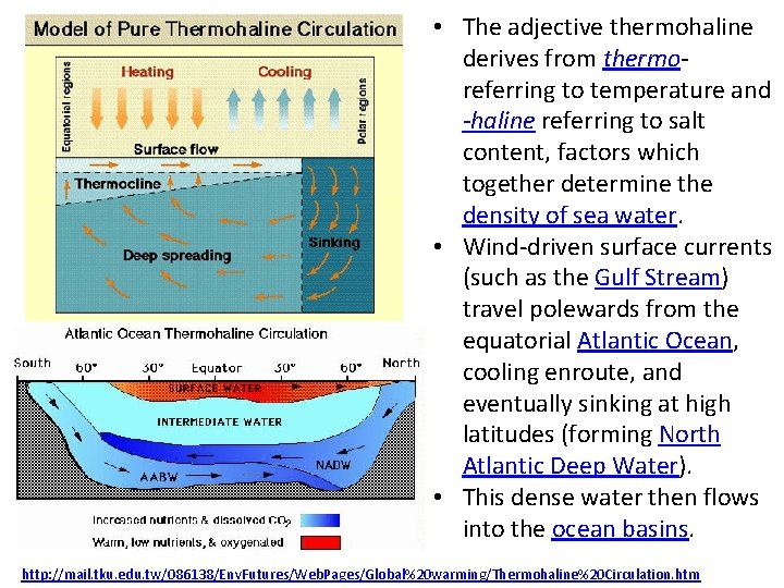  • The adjective thermohaline derives from thermoreferring to temperature and -haline referring to