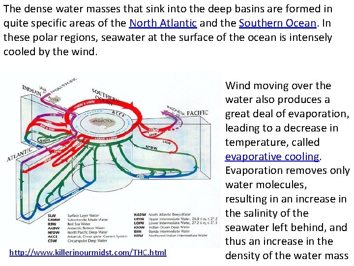 The dense water masses that sink into the deep basins are formed in quite