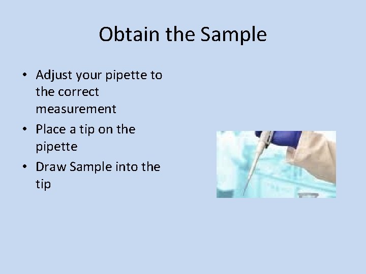 Obtain the Sample • Adjust your pipette to the correct measurement • Place a Obtain the Sample • Adjust your pipette to the correct measurement • Place a