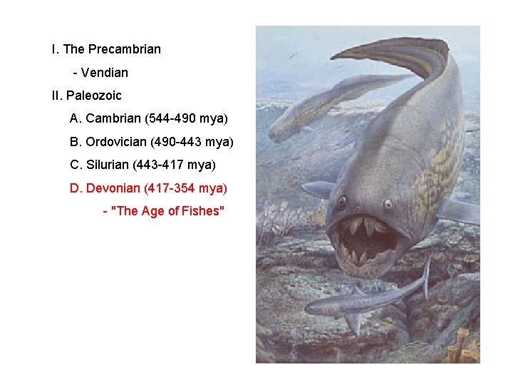 I. The Precambrian - Vendian II. Paleozoic A. Cambrian (544 -490 mya) B. Ordovician