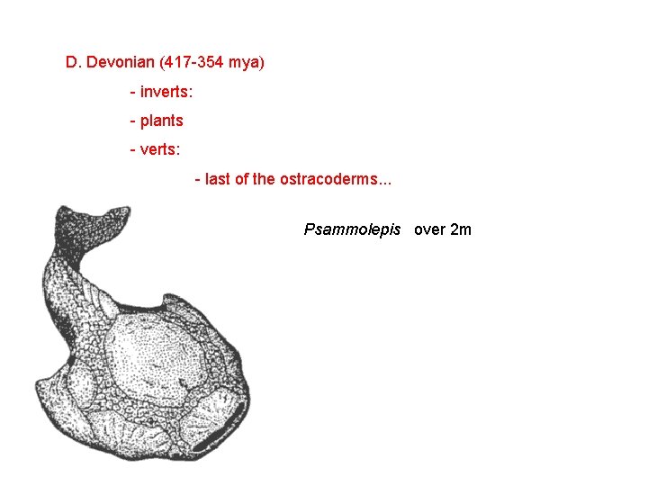 D. Devonian (417 -354 mya) - inverts: - plants - verts: - last of
