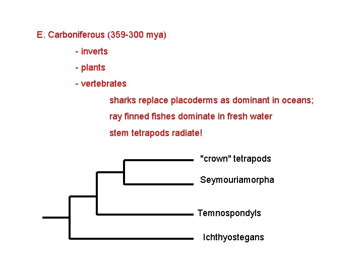 E. Carboniferous (359 -300 mya) - inverts - plants - vertebrates sharks replace placoderms