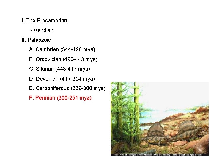 I. The Precambrian - Vendian II. Paleozoic A. Cambrian (544 -490 mya) B. Ordovician