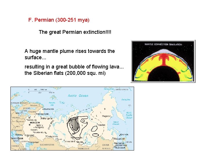 F. Permian (300 -251 mya) The great Permian extinction!!!! A huge mantle plume rises